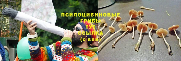 дурь Абаза