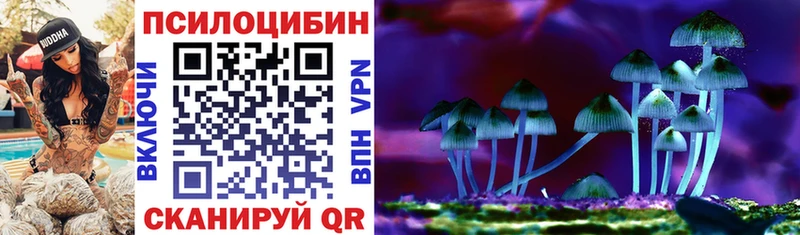 Псилоцибиновые грибы Cubensis  закладка  Весьегонск 